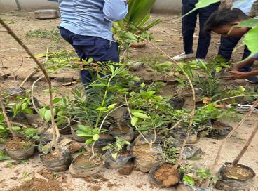 Plantation Drive 5th July 2024