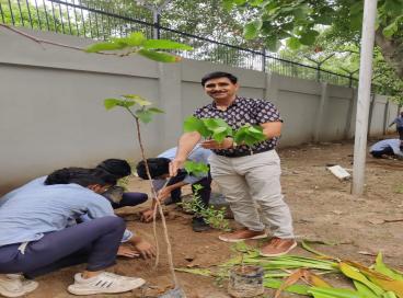 Plantation Drive 5th July 2024