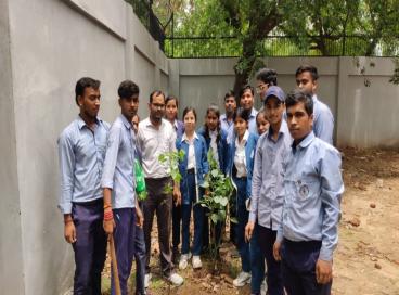 Plantation Drive 5th July 2024